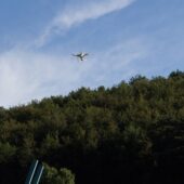  Sproing Pics (71/145)